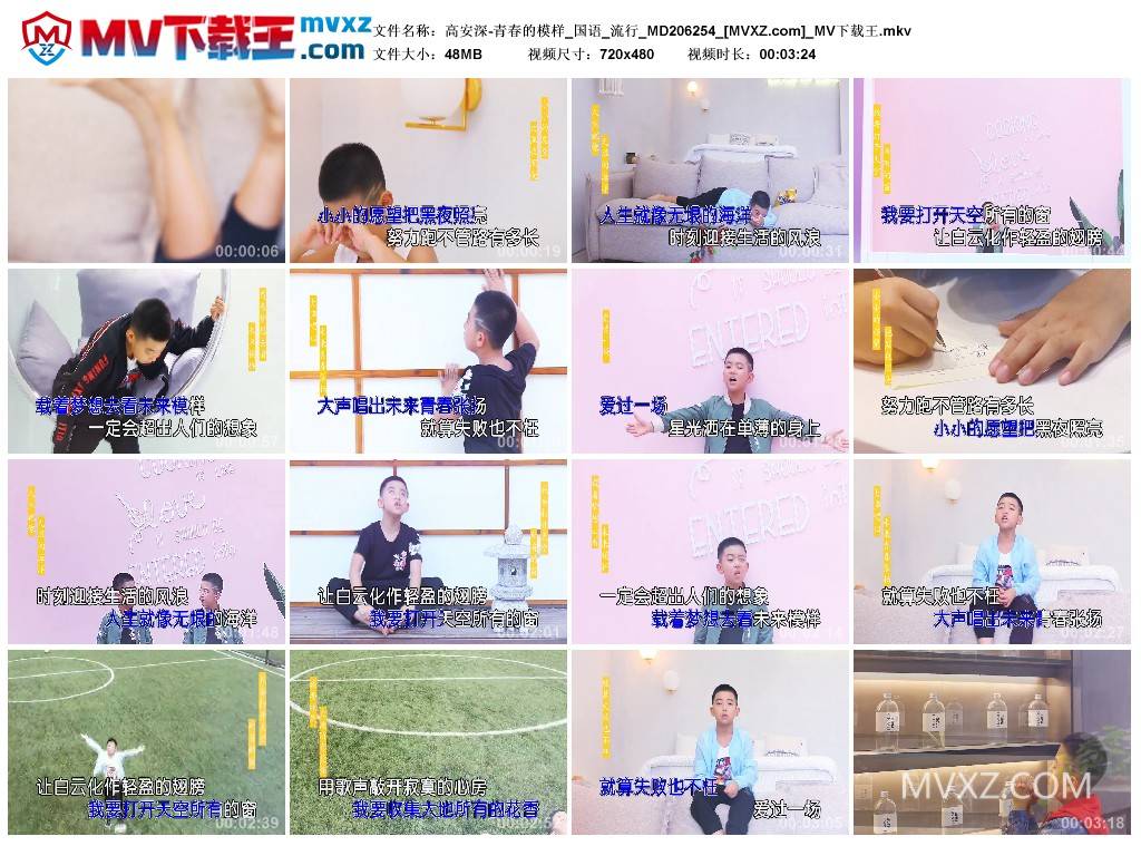 高安深-青春的模样_国语_流行_MD206254